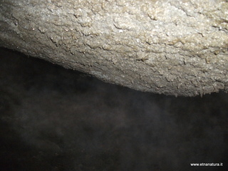 otta Pisciteddu-03-03-2013 11-59-11